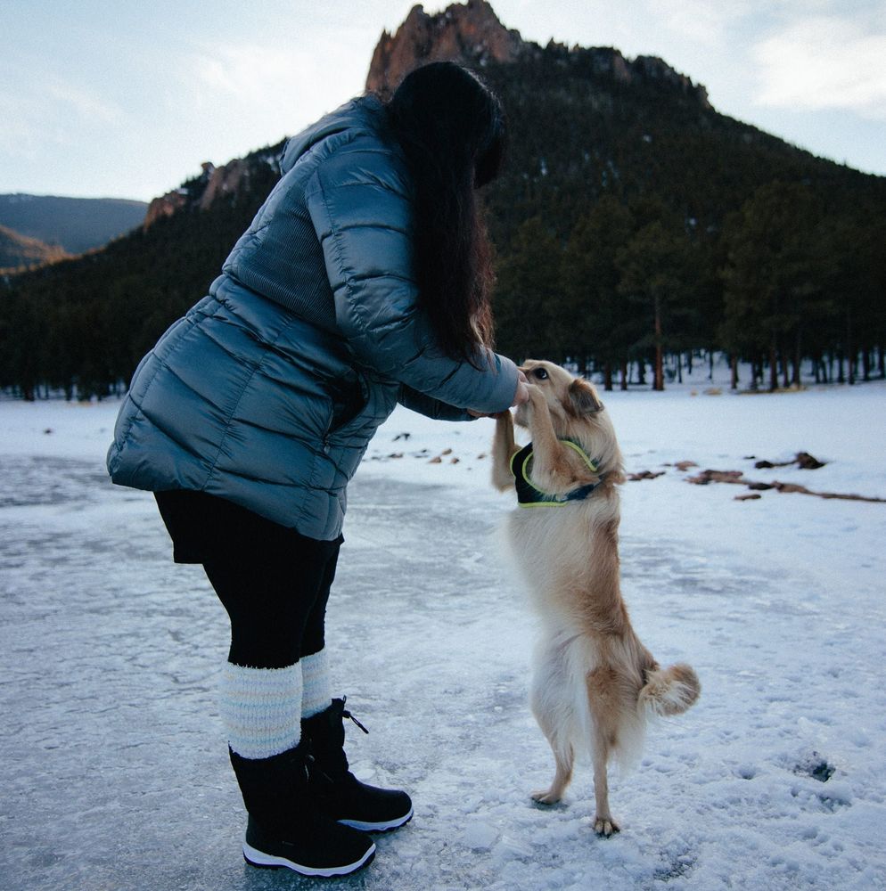 Meet your Posher, Lne